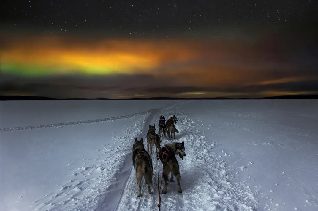 a dog-sled team moves forward in the snow